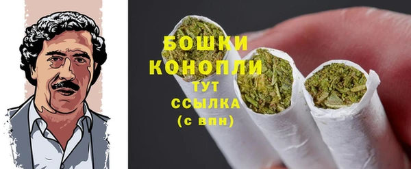 прущие грибы Кинешма